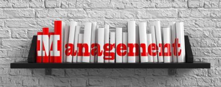 Managing Your Manager: Defining Outstanding Work